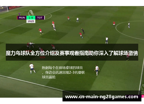 魔力鸟球队全方位介绍及赛事观看指南助你深入了解球场激情