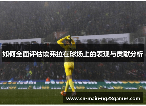 如何全面评估埃弗拉在球场上的表现与贡献分析