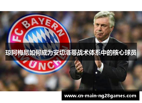 琼阿梅尼如何成为安切洛蒂战术体系中的核心球员